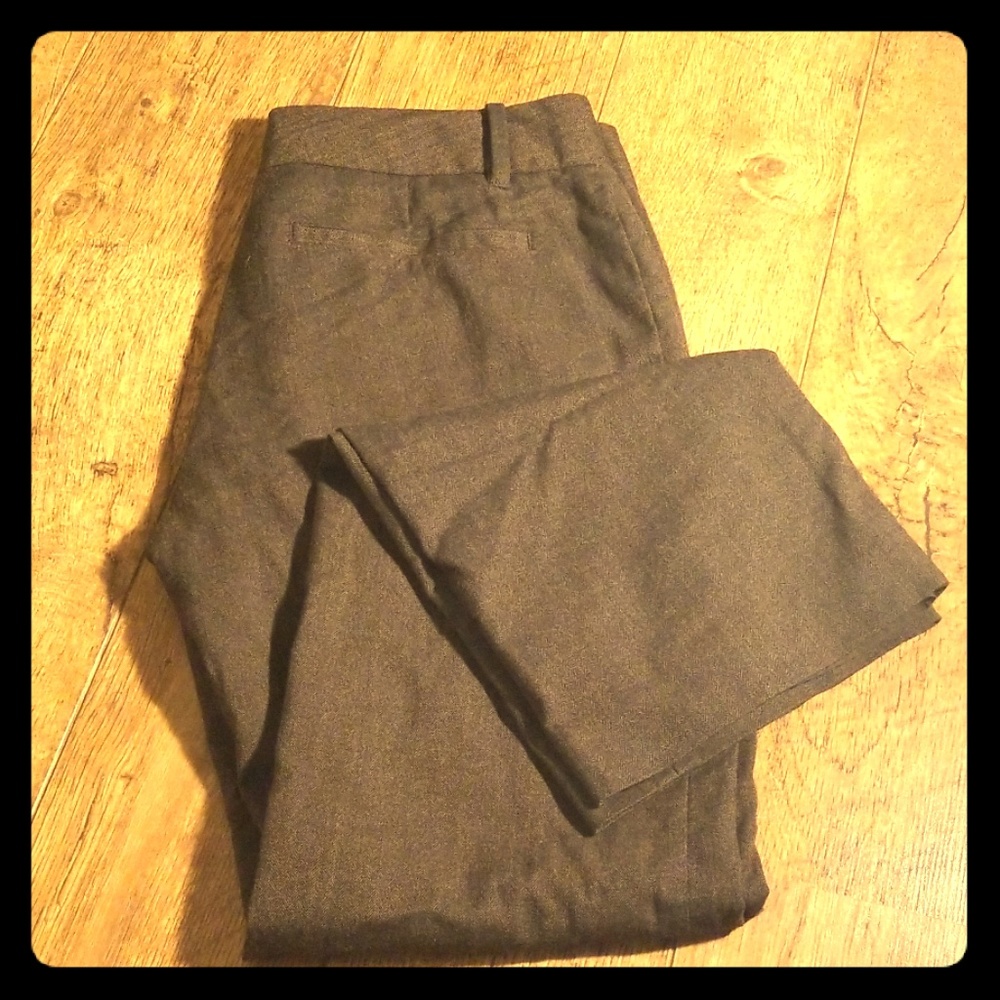 Dress pants
